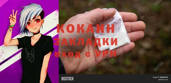 амф Арсеньев