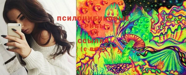 твердый Аркадак
